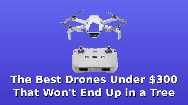The Best Drones Under $300 That Won't End Up in a Tree - BestDroneGuide review with measurements and honest opinion